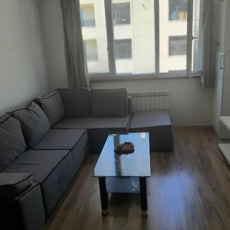 Apartment Alina Apart Paradise Center *